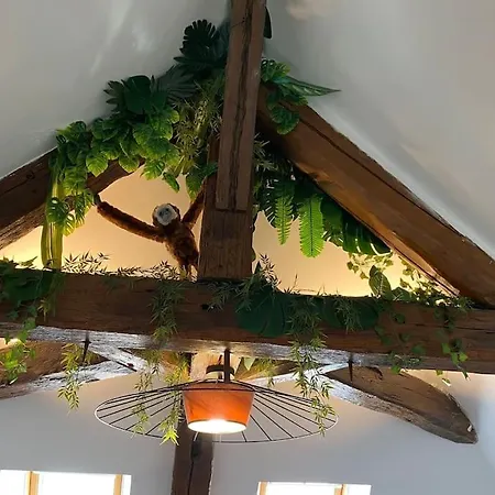 Appartement Sous Les Tropiques D'Ablis Extérieur photo