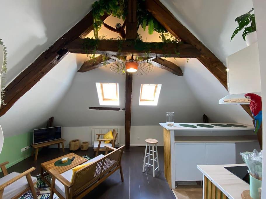 Sous Les Tropiques D'ablis Apartment *