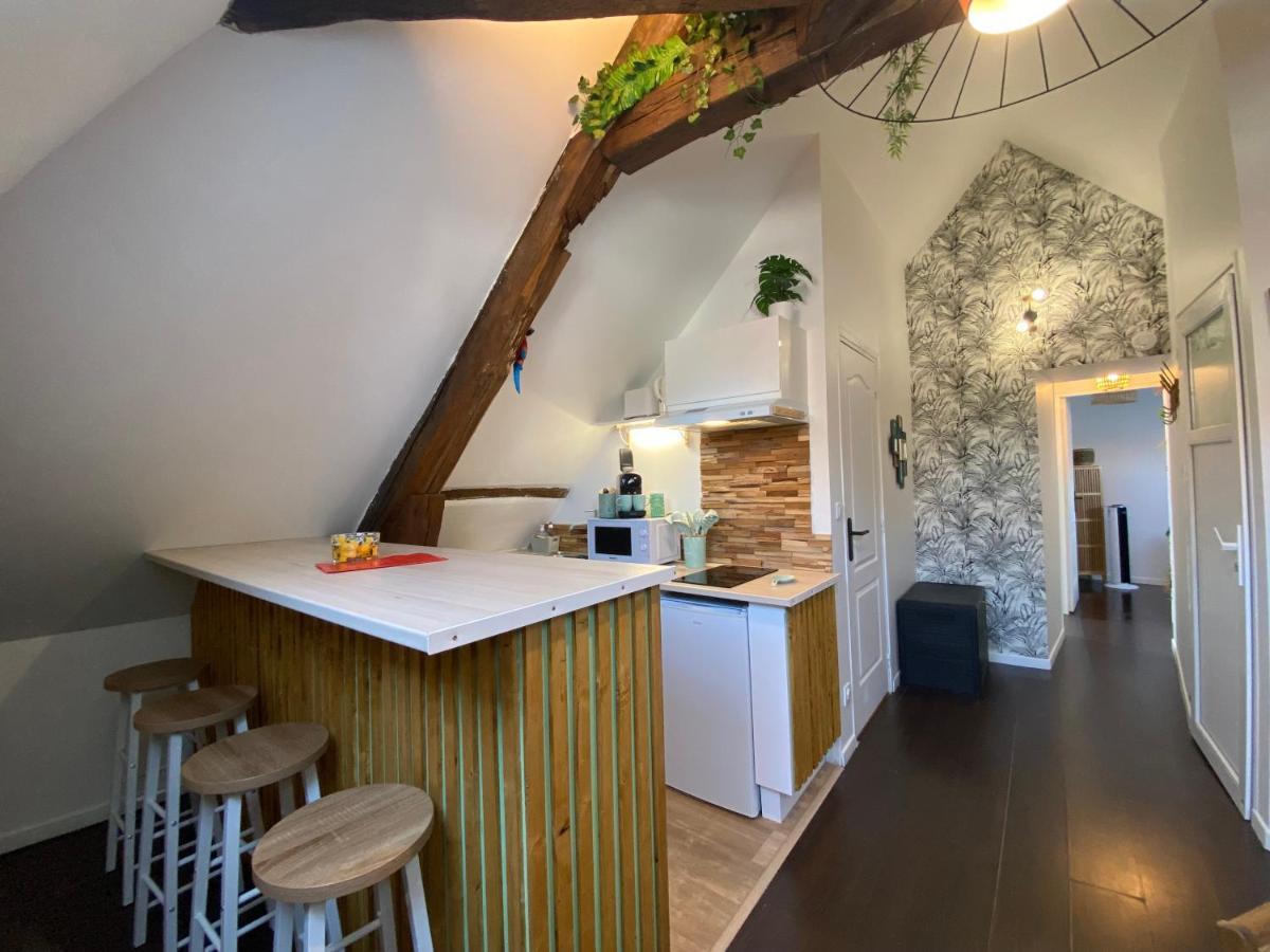 Apartment Sous Les Tropiques D'ablis Ablis